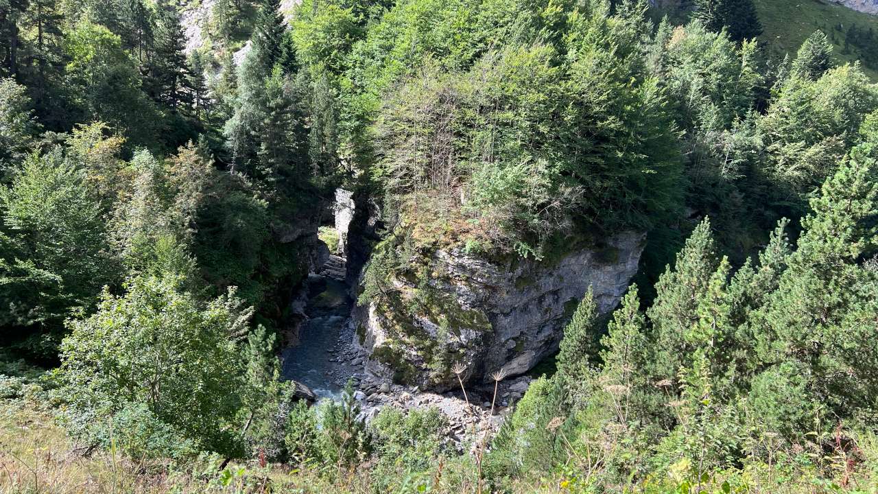 Miniature du contenu