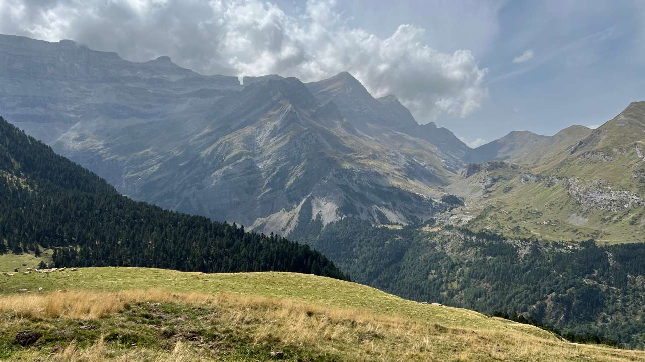 Miniature du contenu