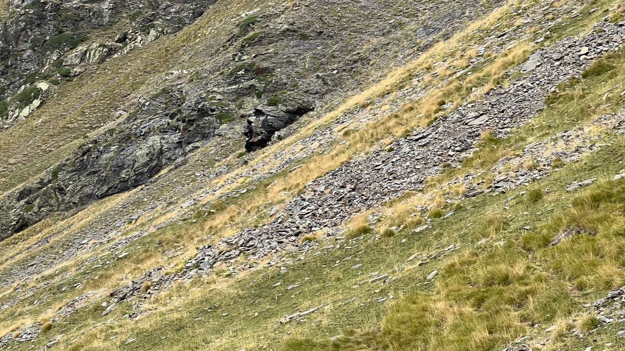 Miniature du contenu