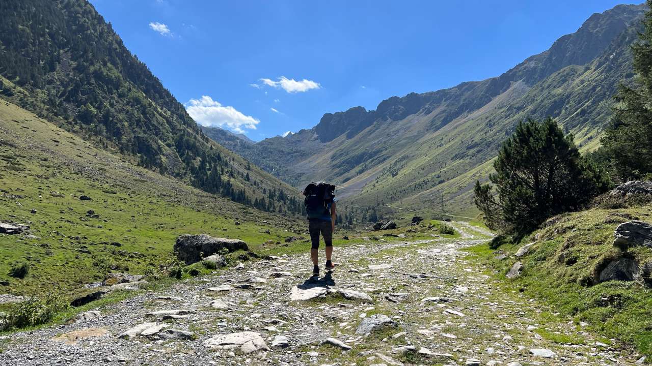Miniature du contenu