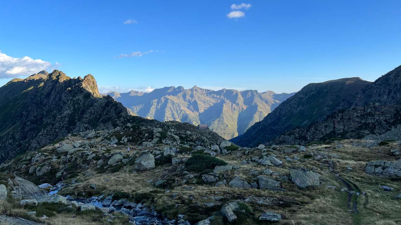 Miniature du contenu