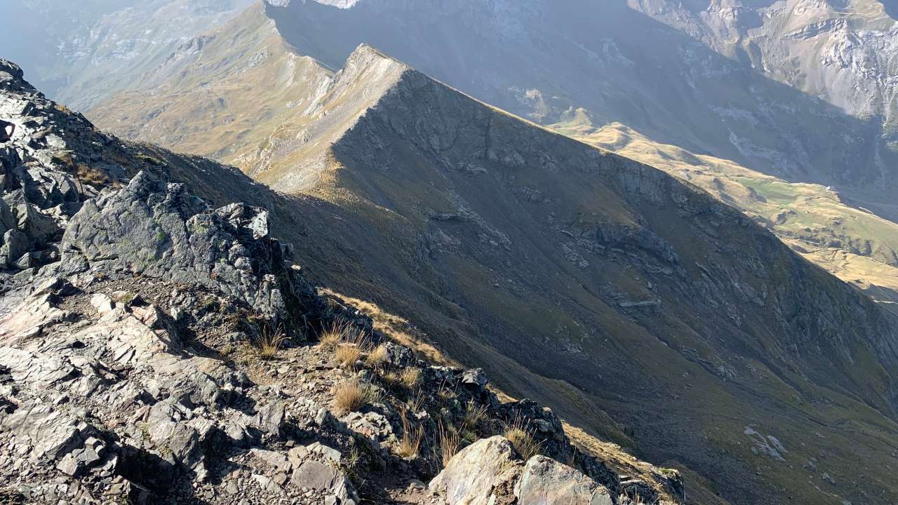 Miniature du contenu
