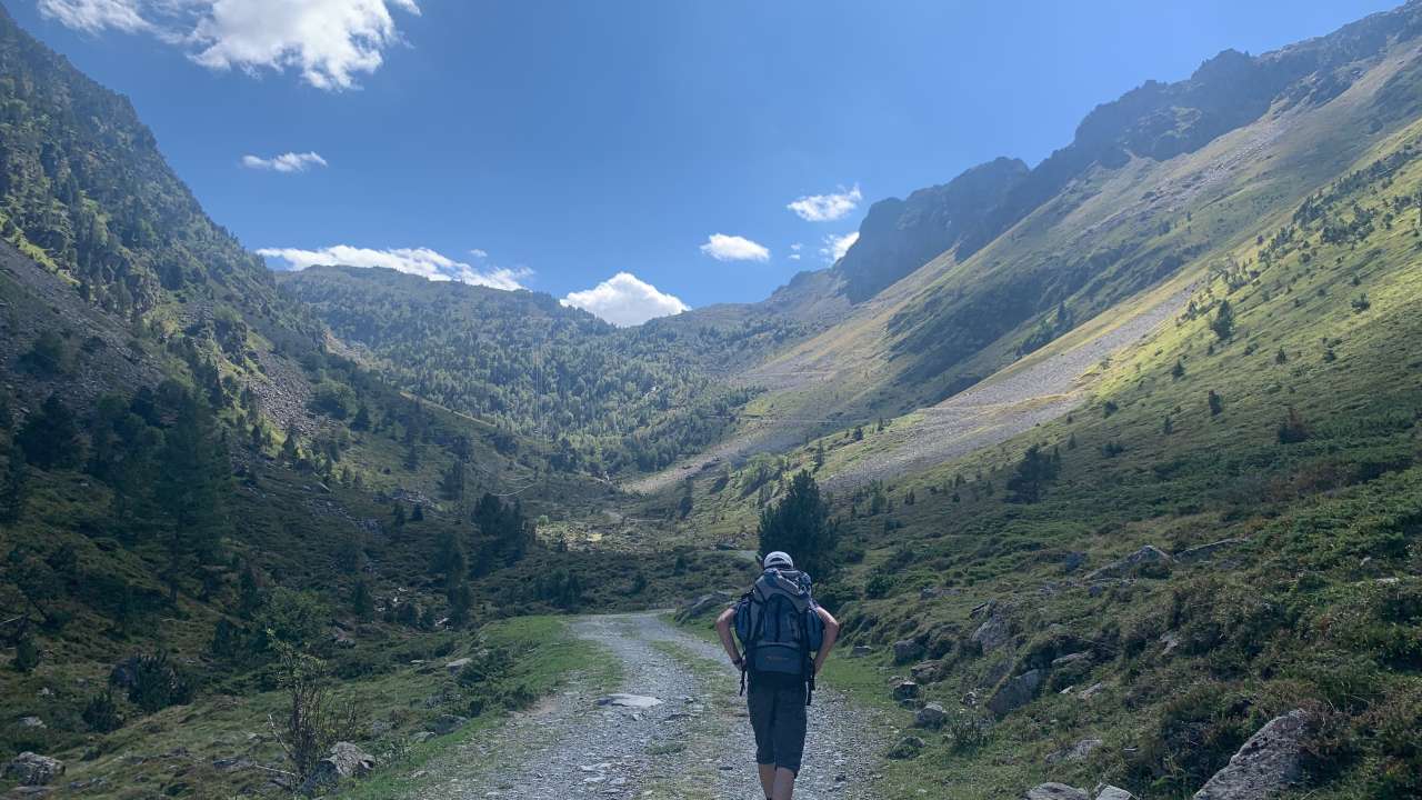 Miniature du contenu