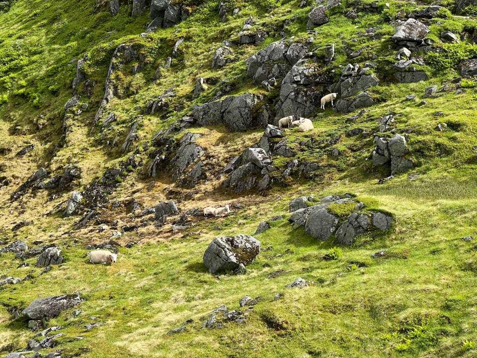 Miniature du contenu