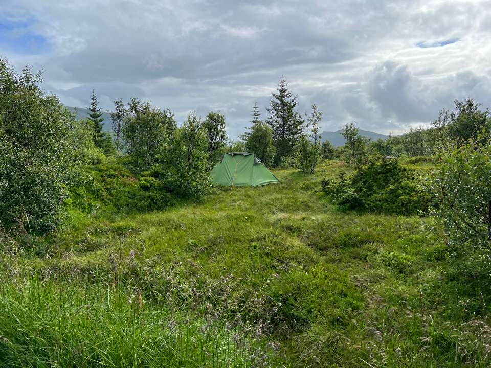 Miniature du contenu
