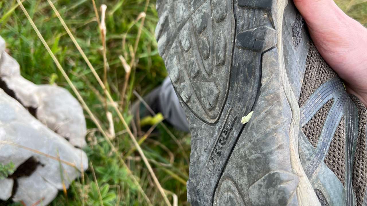 Miniature du contenu