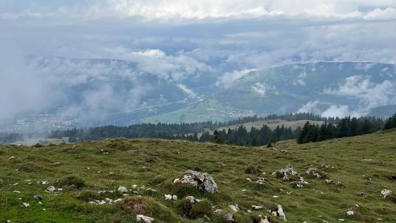 Miniature du contenu
