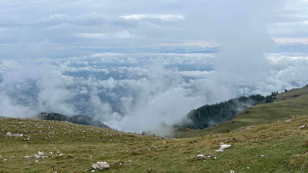 Miniature du contenu